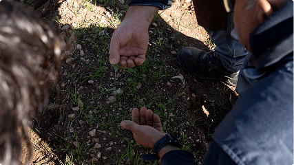 Verlaagt je kosten, verhoogt je opbrengst